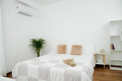 Cozy stays, Sohāna