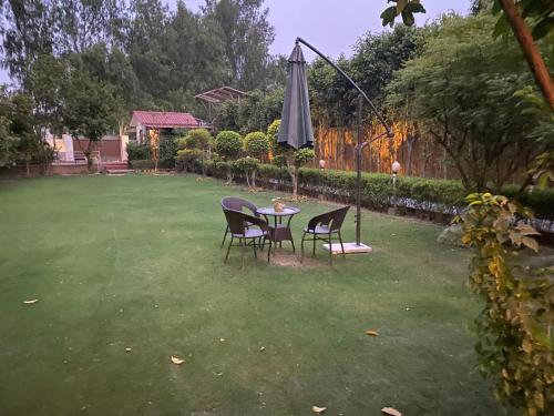 Paradise, Noida (foto 9)