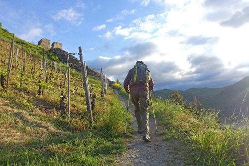 Hotel zur Loreley - Garni in ซังท์ กัวล์