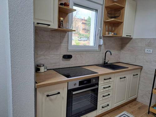 One-Bedroom Apartment image 8