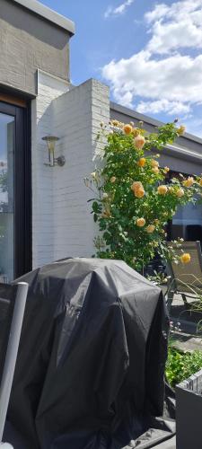 Létesítmények, Moderne Doppelhaushälfte mit Süd-West-Terrasse (Moderne Doppelhaushalfte mit Sud-West-Terrasse) in Erkrath