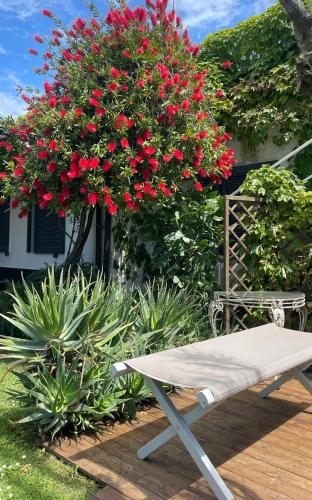 Hotel Atlantic – Marina di Carrara, WI