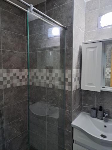 One-Bedroom Apartment image 6