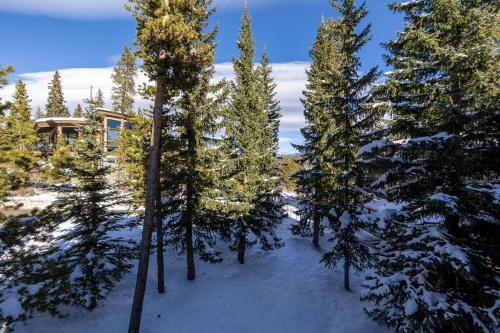 SkiWatch-438 - image 12