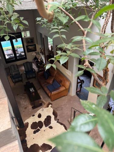 The Treehouse Mtunzini in Mtunzini