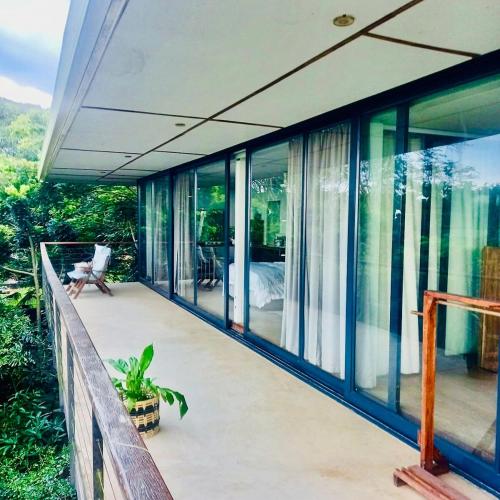 The Treehouse Mtunzini in Mtunzini