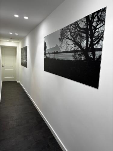 SUITE & LOFT guest house, Sabaudia (fotografie 10)