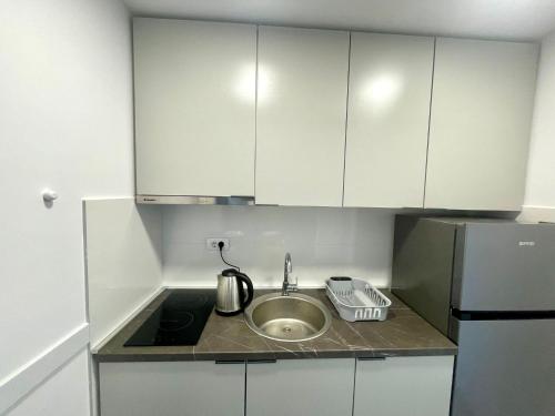 One-Bedroom Apartment image 10