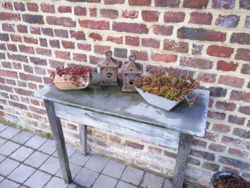 Vakantiewoning Venderhof - image 2