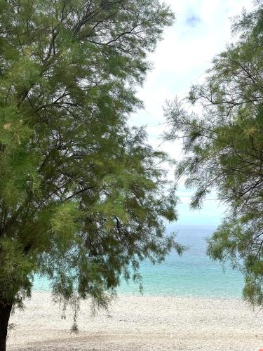 Potami Seashell, Himare (foto 8)