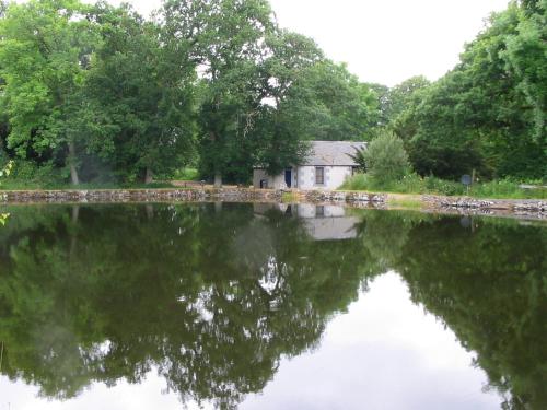 Garden, Pond Cottage in Symington