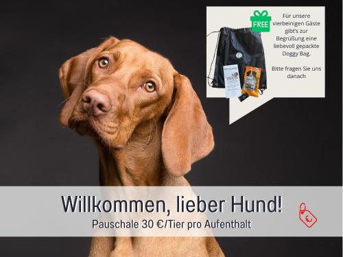 SONNENTERRASSE - 3 Schlafzimmer, Whirlpool & Alpenblick - Perfekt für Romantik oder Familienurlaub mit Kind , Hund willkommen by FerienWohnenAmSee -, Überlingen (photo 8)