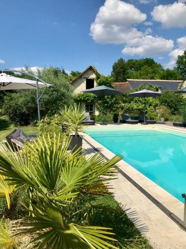 Magnifique Refuge avec piscine et animaux situé au coeur des châteaux de la Loire et des vignobles gîte à louer La Roche-Clermault