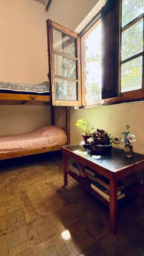 Single Bed in Female Dormitory Room image 9