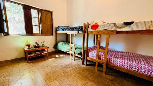 Single Bed in Female Dormitory Room image 8