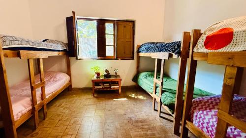 Single Bed in Female Dormitory Room image 3