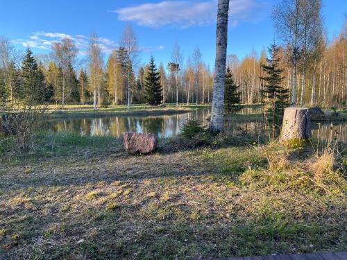 Apkārtne, Marika Puhkeküla - Metsanurga Järvemaja (Marika Puhkekula - Metsanurga Jarvemaja) in Nova Vald