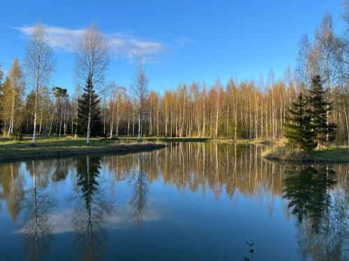 Apkārtne, Marika Puhkeküla - Metsanurga Järvemaja (Marika Puhkekula - Metsanurga Jarvemaja) in Nova Vald