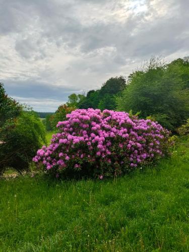 Pferdehof in der Oststeiermark in Sankt Mareina pie Grācas