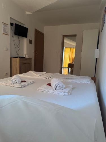Guesthouse Vila Tamburic 4