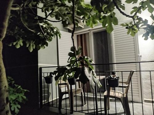 Apartment image 7