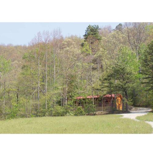 Cabin on the Hill-Peaceful 1BR 20-Acre Rural Retreat-HotTub&WiFi near Asheville, Hendersonville (foto 2)