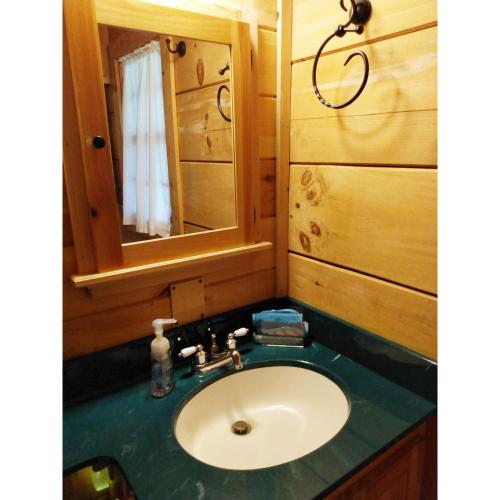 Cabin on the Hill-Peaceful 1BR 20-Acre Rural Retreat-HotTub&WiFi near Asheville, Hendersonville (foto 7)