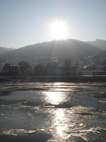 A Hotel Com Haus Mosella Wohnung Cochem Deutschland Preis Bewertungen Reservierung Kontakt