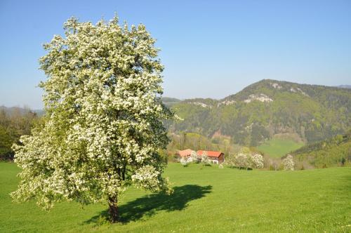 Apart Dirndltal - image 12