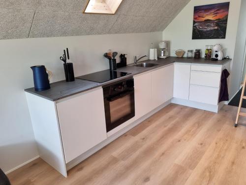 Eiðsvíkslon - The Red Boathouse by the Sea (Eiðsvikslon - The Red Boathouse by the Sea) in Norðoyar