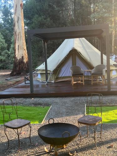 Marysville Holiday Park in Marysville