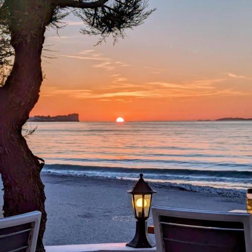 Dolphin Apt & Studios -Near the Beach 5