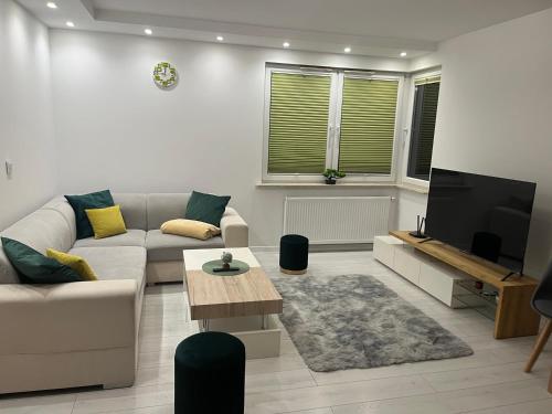 Odnowiony Apartament Premium