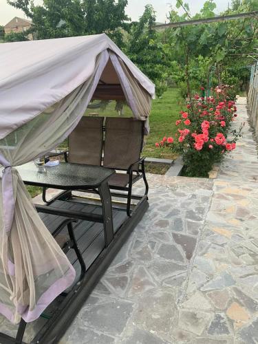 Iekārtas, Adams Rest House in Jegegnadžora