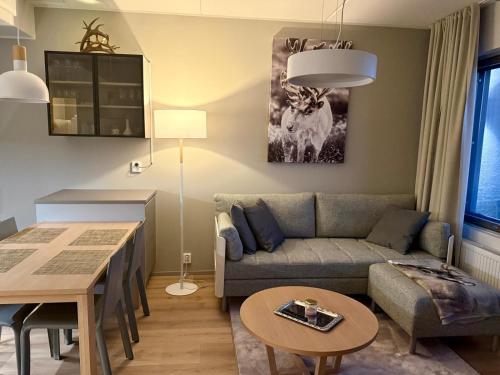 Ylläs Chalet 4304, Ylläsjärvi (foto 10)