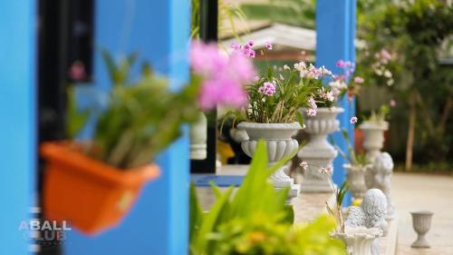 ToffyHome in Phetchabun