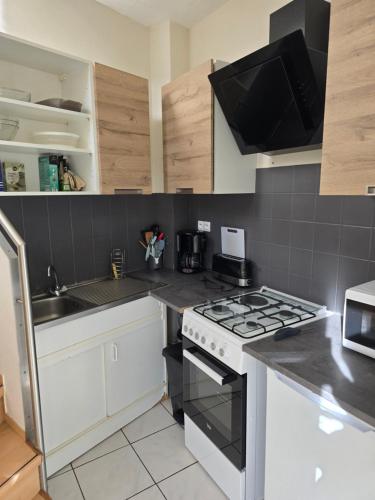 Appartement rez de jardin avec terrasse privative - Location saisonnière - La Bourboule