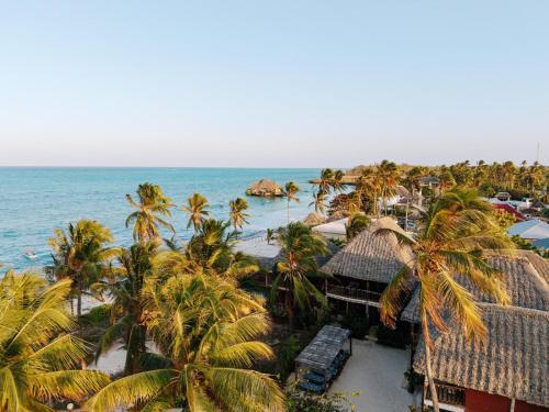 Vista exterior, Shanuo Beach Bungalows in Michamvi