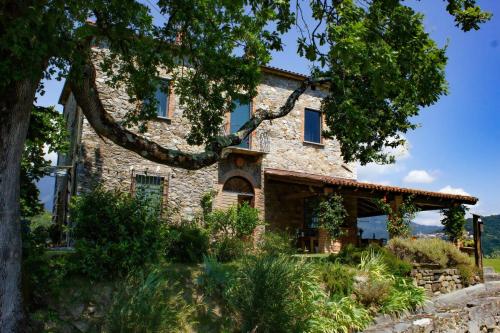 Зовнішній вигляд готелю, Cà del Vento amazing villa 10 pax w/ infinity pool (Ca del Vento amazing villa 10 pax w/ infinity pool) in Баньоне