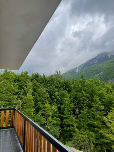 Trojet e Mija in Theth