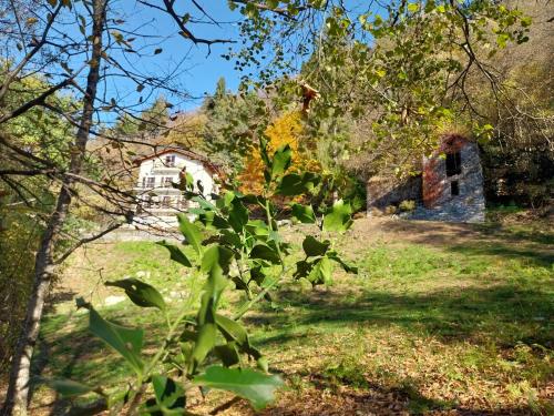 Viesnīcas āriene, La Casa nel Bosco BeB in Bee