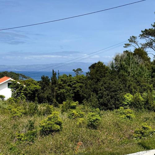Apkārtne, Casa do Domingos in Cais do Pico