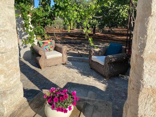Kert, Villa Don Vito surrounded by centuries-old olive trees in Torricella