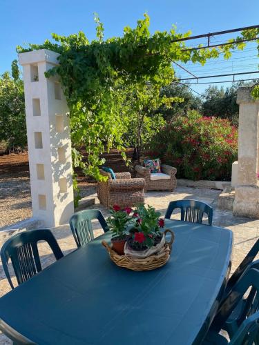Villa Don Vito surrounded by centuries-old olive trees in Torricella