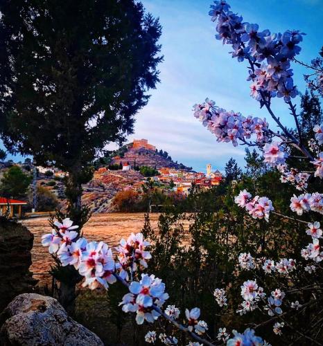 Terra - Valle de Ayora