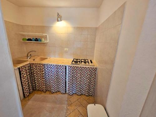 One-Bedroom Apartment image 7