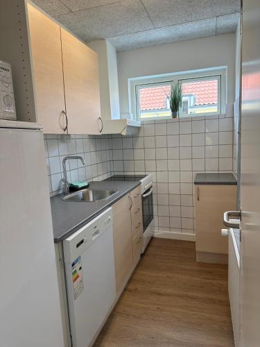 Plesners Anneks in 斯蓋恩