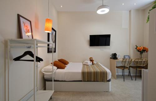 Osito Hub - Campoamor Room Type - Studio