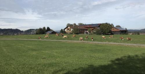 Biobauernhof Benihof - Ferienwohnung Alpenblick in Peiting