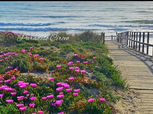 APPARTAMENTO in seminterrato PALMAROLA in Sabaudia